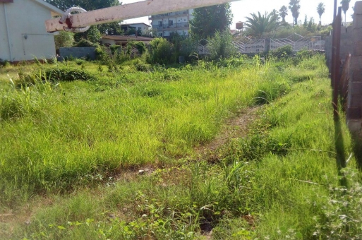 زمین شهرکی در بابلسر  1