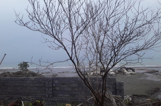 زمین در نوشهر  2