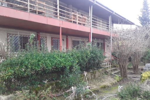زمین در نوشهر  5