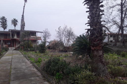 زمین در نوشهر  6