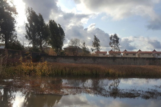 زمین بابلسر  2
