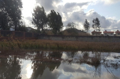 زمین بابلسر  1