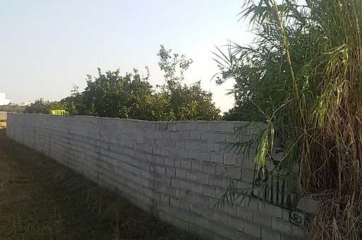 زمین بابلسر  1