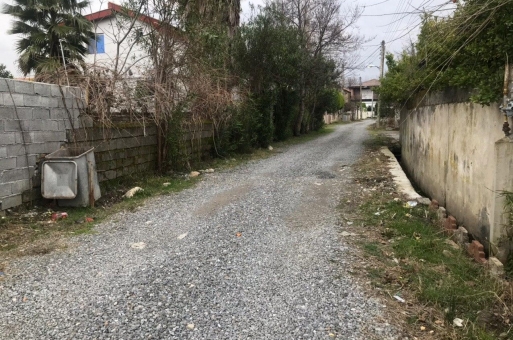 زمین جنگلی نوشهر  2
