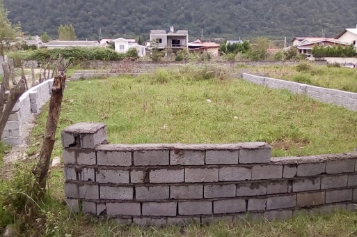 خرید زمین جنگلی در نوشهر 2