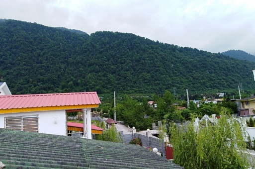 ویلا جنگلی نوشهر  1