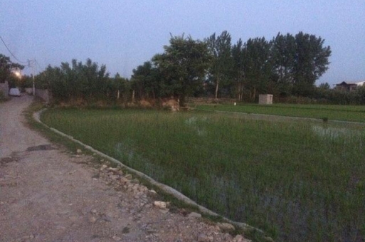 معاوضه زمین در سرخرود 1