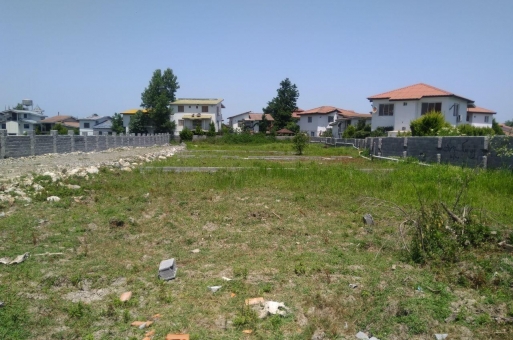 زمین جنگلی نوشهر  2