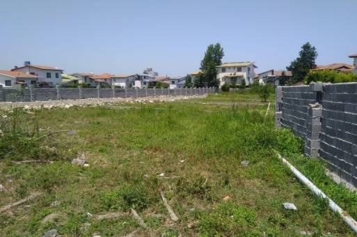 زمین جنگلی نوشهر  3