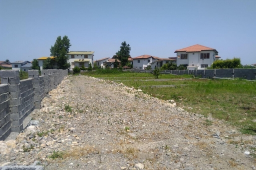 زمین جنگلی نوشهر  1