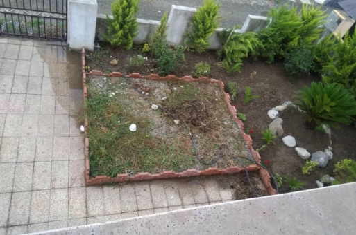 نوشهر ویلا جنگلی  3