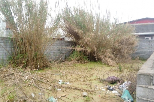 زمین ساحلی بابلسر  2