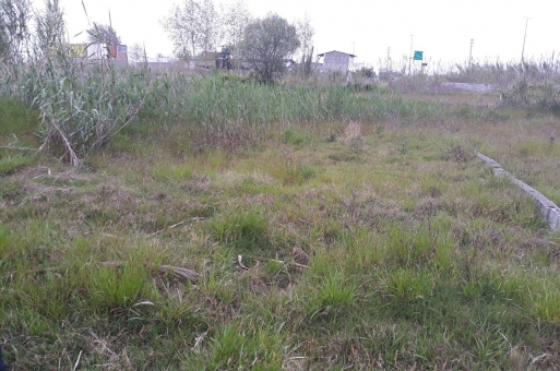 زمین ویلایی سرخرود  2