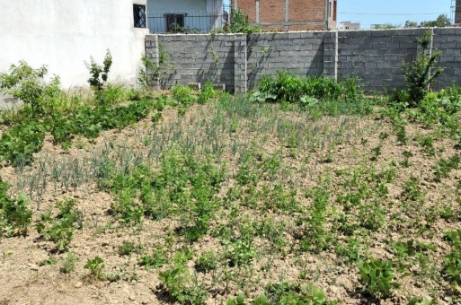 بابلسر زمین ویلایی فروشی 2