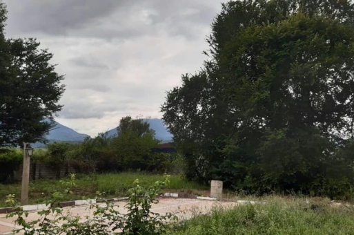 زمین شهرکی جنگلی