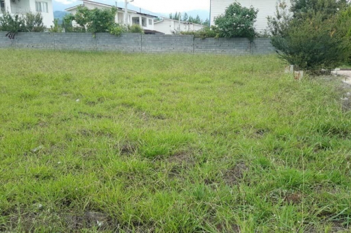 زمین شهرکی جنگلی
