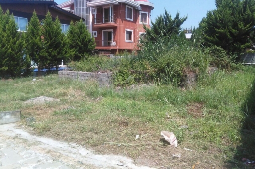 زمین جنگلی نوشهر  3