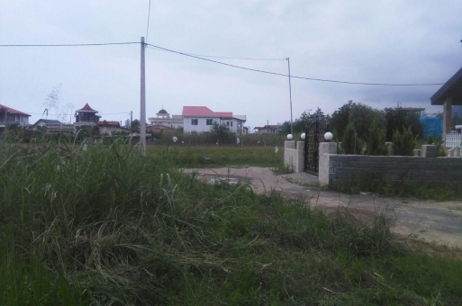 زمین جنگلی در نوشهر