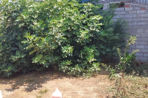زمین مسکونی بابلسر