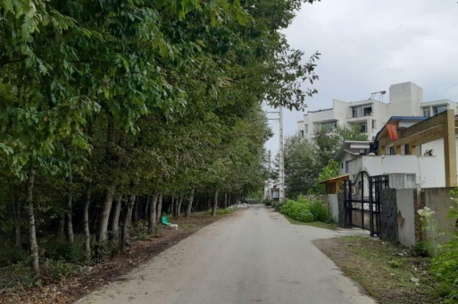 نوشهر زمین جنگلی شهرکی  2