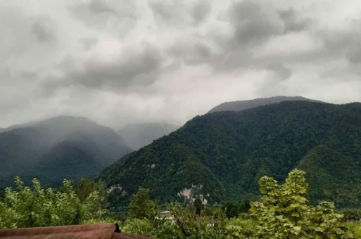 زمین برای شهرک سازی نوشهر  2
