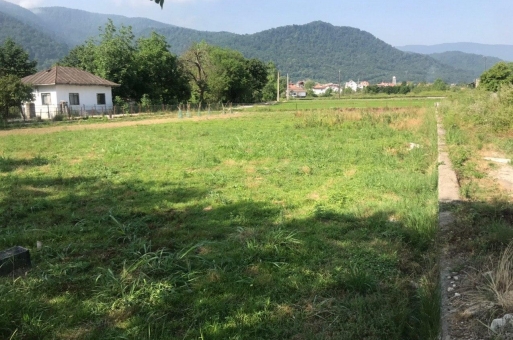 خرید زمین رامسر  2