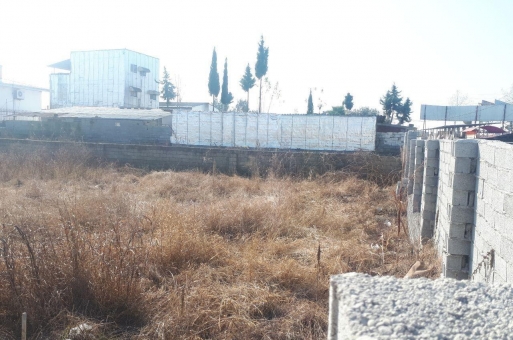 زمین ساحلی رامسر  2