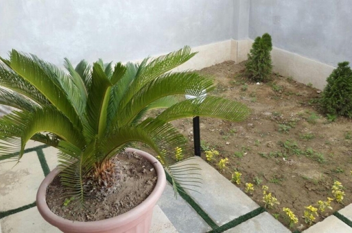 بابلسر ویلا ساحلی