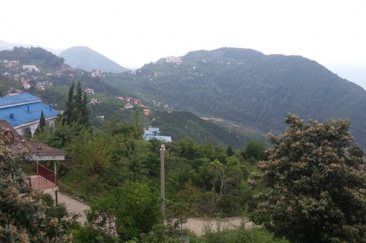 فروش زمین با کاربری مسکونی رامسر  2