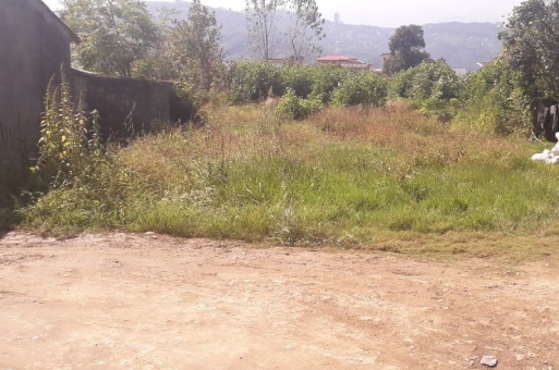 زمین مسکونی رامسر شمال 2