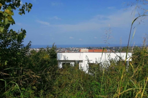خرید زمین در نوشهر جنگلی