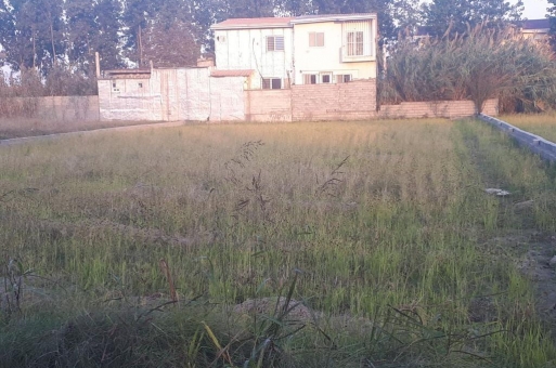 خرید زمین ویلایی در سرخرود محموآباد