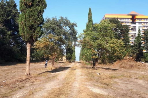 خرید زمین ساحلی داخل شهرک در نوشهر