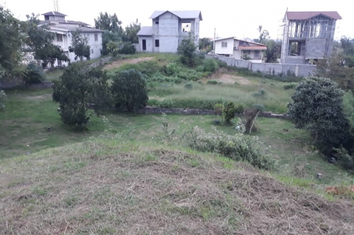 زمین رامسر  2