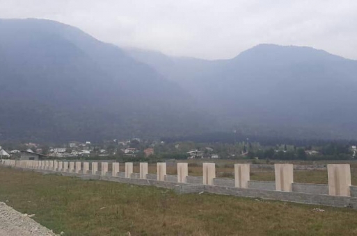 خرید زمین شهرکی جنگلی در نوشهر مازندران