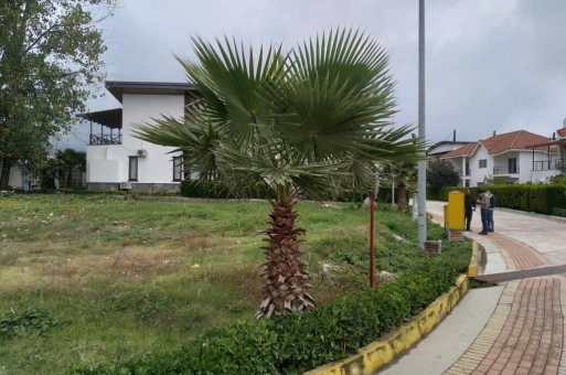 خرید زمین داخل شهرک جنگلی در نوشهر