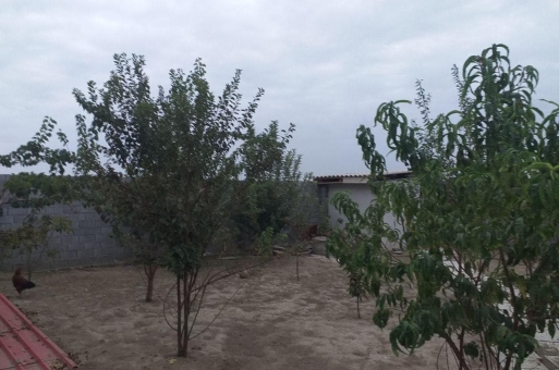 زمین داخل شهر بابلسر 2