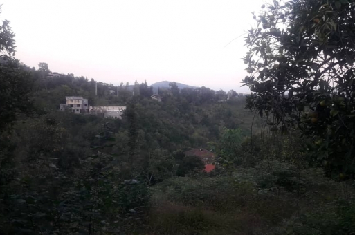 زمین مسکونی رامسر  1