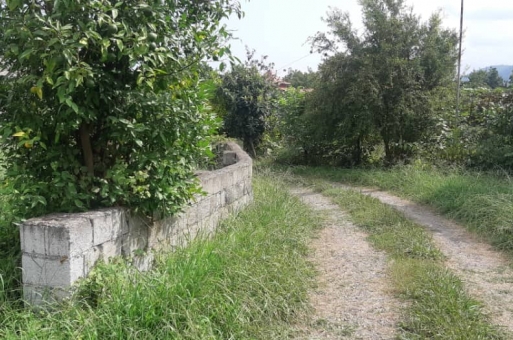رامسر زمین مسکونی  2