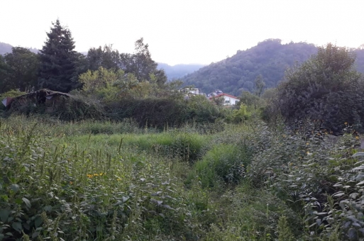 خرید زمین رامسر  3