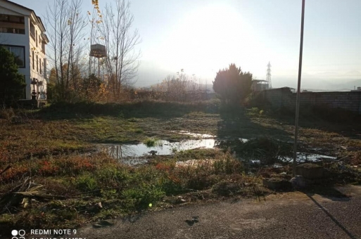 خرید زمین جنگلی شهرکی نوشهر مازندران