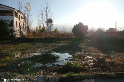 خرید زمین جنگلی شهرکی نوشهر مازندران