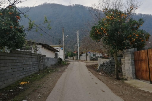 خرید زمین با سند مالکیت در نوشهر