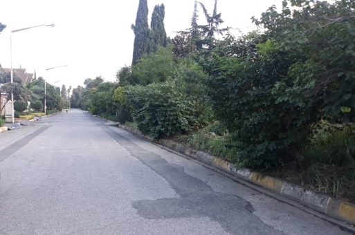 زمین رامسر  2