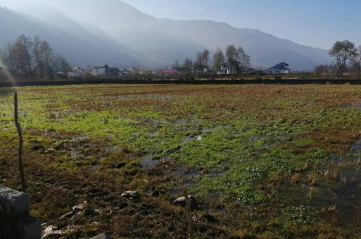 خرید زمین متراژ بالا سمت جنگلی در نوشهر