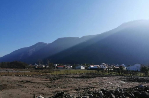 خرید زمین متراژ بالا سمت جنگلی در نوشهر