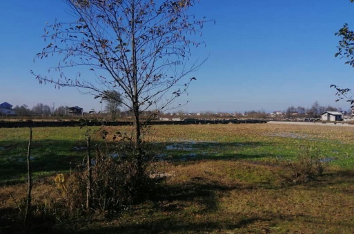 خرید زمین متراژ بالا سمت جنگلی در نوشهر