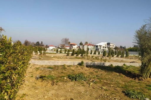 خرید زمین داخل شهرک در نوشهر