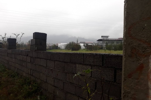 خرید زمین جنگلی رامسر  1