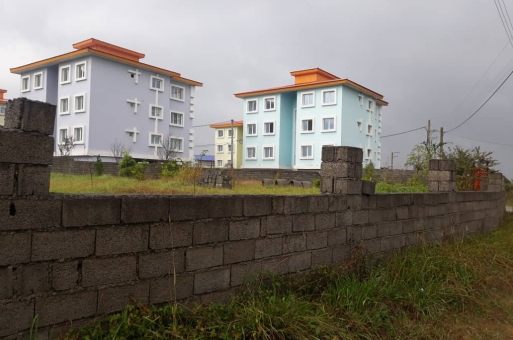 خرید زمین جنگلی رامسر  4